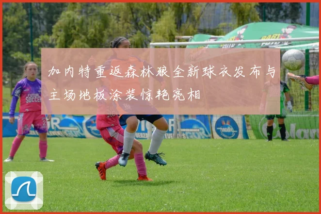 加内特重返森林狼全新球衣发布与主场地板涂装惊艳亮相